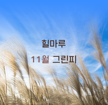 25년 11월 그린피 안내